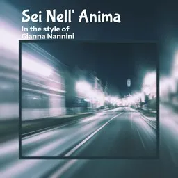 Cover art for Sei Nell' Anima - Gianna Nannini karaoke version