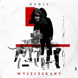 Omslagsbild för Diabeł - Dedis,Intruz,prod. Flame,Śliwa karaokeversion