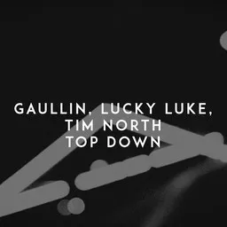 Cover art for Top Down - Gaullin,Lucky Luke,Tim North karaoke version