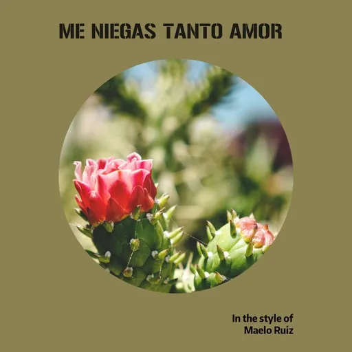 Karaoke Me Niegas Tanto Amor by Maelo Ruiz — sing along with lyrics on Singa