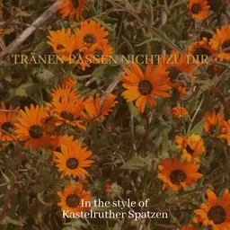 Cover art for Tränen passen nicht zu dir - Kastelruther Spatzen karaoke version