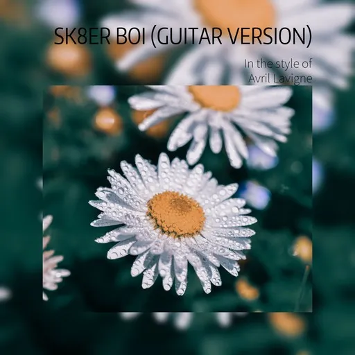 Karaoke Sk8er Boi (Guitar Version) by Avril Lavigne — sing along with lyrics on Singa