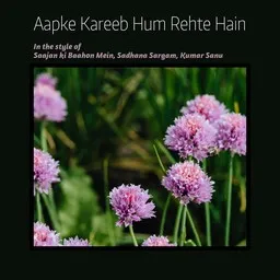 Omslagsbild för Aapke Kareeb Hum Rehte Hain - Kumar Sanu,Saajan ki Baahon Mein,Sadhana Sargam karaokeversion