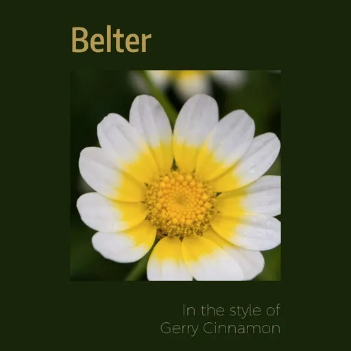 Karaoke Belter by Gerry Cinnamon — sing along with lyrics on Singa