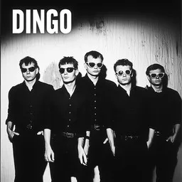Cover art for Sinä ja minä - Dingo karaoke version