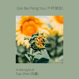 Omslagsbild för 干杯朋友 - Tian Zhen (田震) karaokeversion