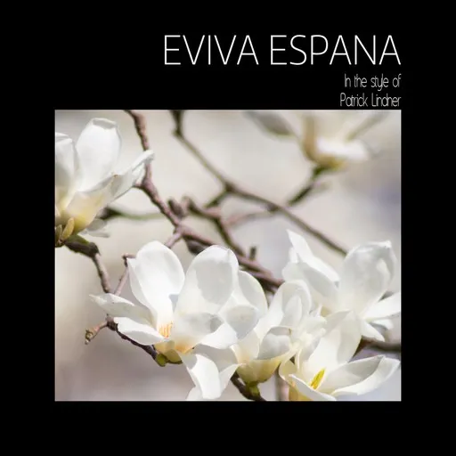 Karaoke Eviva Espana von Patrick Lindner — mit Songtext mitsingen auf Singa