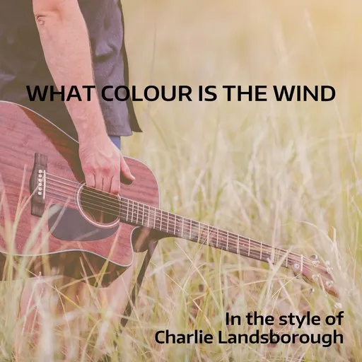 What Colour Is The Wind - Karaoke