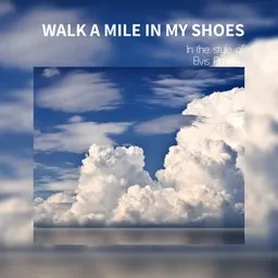 Cover art for Walk A Mile In My Shoes - Elvis Presley karaoke version