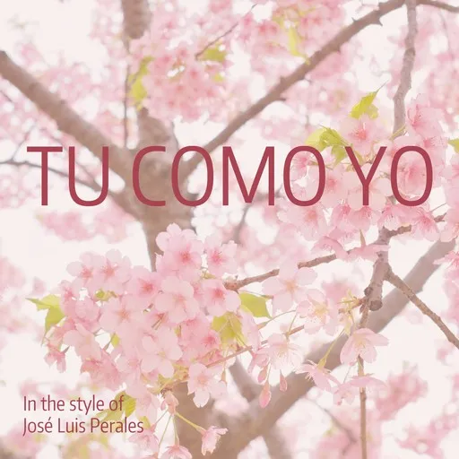 Karaoke Tu Como Yo by José Luis Perales — sing along with lyrics on Singa
