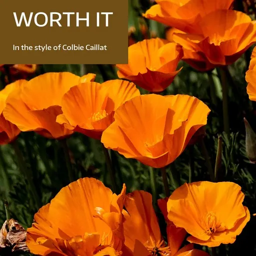 Karaoke Worth It by Colbie Caillat — sing along with lyrics on Singa