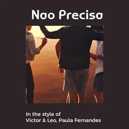 Cover art for Nao Precisa - Paula Fernandes,Victor & Leo karaoke version