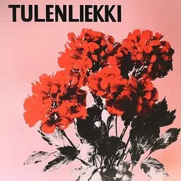 Cover art for Tulenliekki - Eila Pienimäki karaoke version