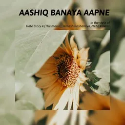Cover art for Aashiq Banaya Aapne - Hate Story 4 (The Movie),Himesh Reshamiya,Neha Kakkar karaoke version