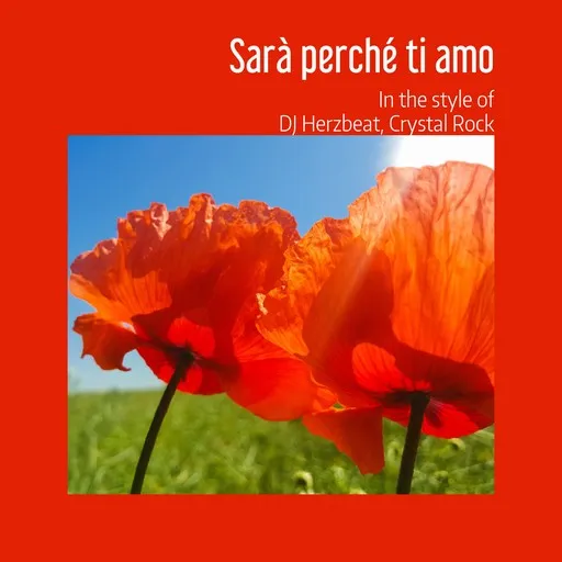 Karaoke Sarà perché ti amo by Crystal Rock, DJ Herzbeat — sing along with lyrics on Singa