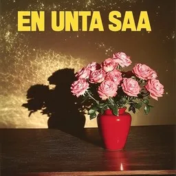 Omslagsbild för Unta en saa - Eero Raittinen,Jari Sillanpää karaokeversion