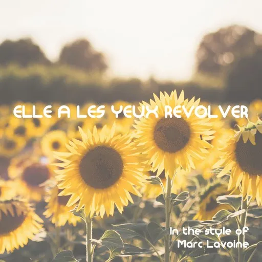 Elle a les yeux revolver - Karaoke
