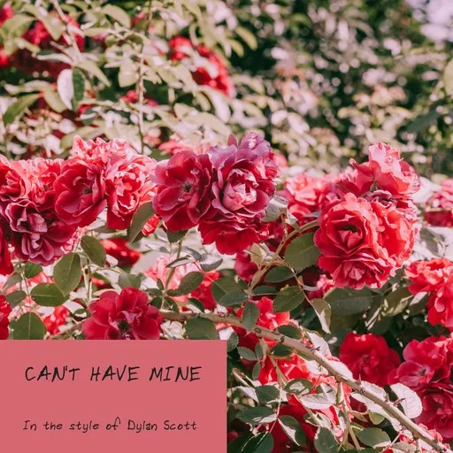 Can't Have Mine - Karaoke