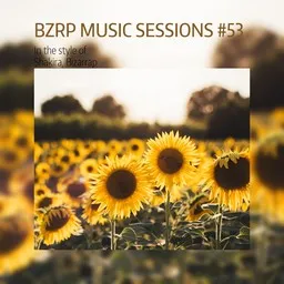 Omslagsbild för BZRP Music Sessions #53 - Bizarrap,Shakira karaokeversion