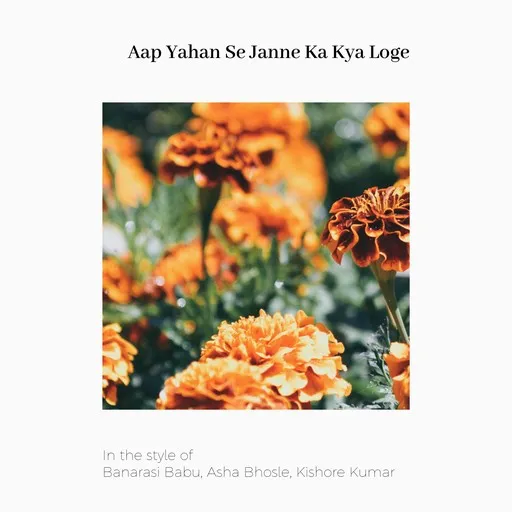 Aap Yahan Se Janne Ka Kya Loge - Karaoke