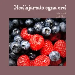 Cover art for Josefin Nilsson