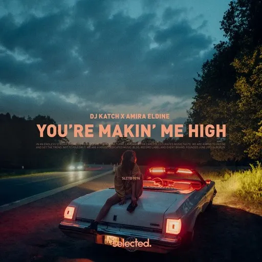 Karaoke You're Makin' Me High by Amira Eldine, DJ Katch — sing along with lyrics on Singa