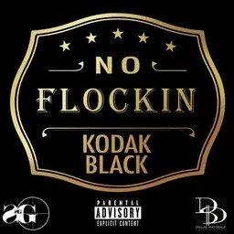 Cover art for No Flockin' - Kodak Black karaoke version