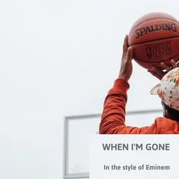 Cover art for When I'm Gone - Eminem karaoke version
