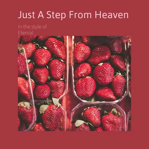 Just A Step From Heaven - Karaoke