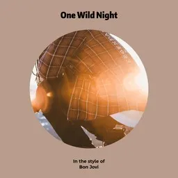 Cover art for One Wild Night - Bon Jovi karaoke version