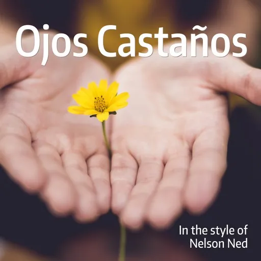 Ojos Castaños - Karaoke