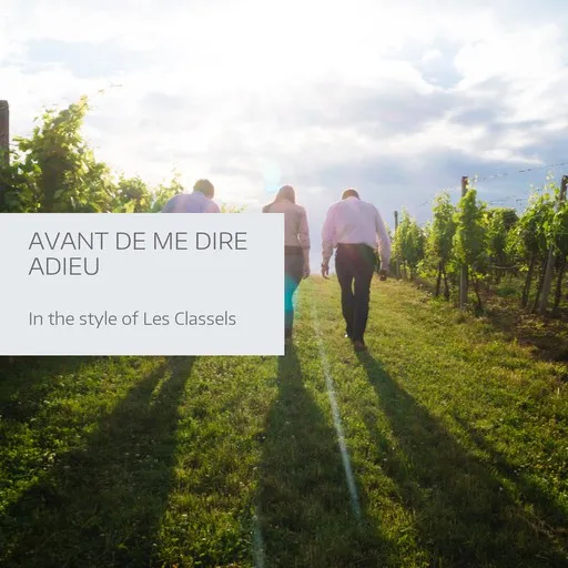 Avant de me dire adieu - Karaoke