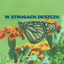 Cover art for W strugach deszczu - Farba karaoke version
