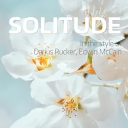 Cover art for Solitude - Darius Rucker,Edwin McCain karaoke version