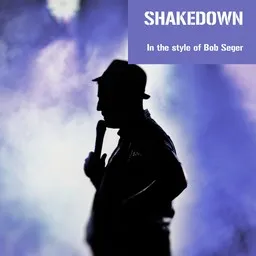 Cover art for Shakedown - Bob Seger karaoke version