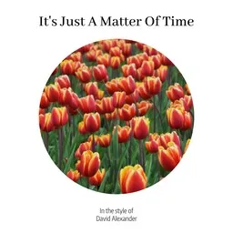 Cover art for It's Just A Matter Of Time - David Alexander karaoke version