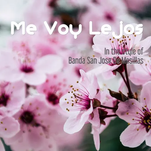 Karaoke Me Voy Lejos by Banda San Jose De Mesillas — sing along with lyrics on Singa