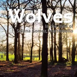Karaokekappaleen Wolves - Marshmello,Selena Gomez kansikuva