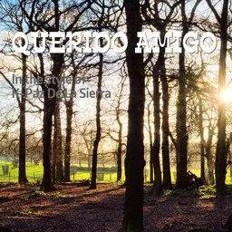 Cover art for Querido Amigo - K-Paz De La Sierra karaoke version