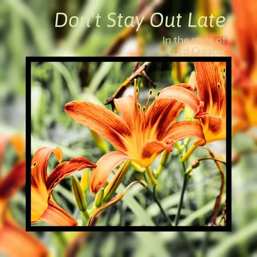 Karaoke Don't Stay Out Late von Lord Creator — mit Songtext mitsingen auf Singa