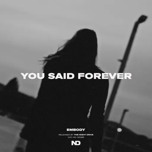 Karaoke You Said Forever by Embody — sing along with lyrics on Singa