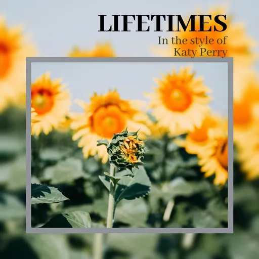 Lifetimes - Karaoke
