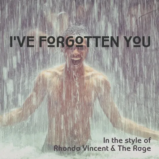 I've Forgotten You - Karaoke