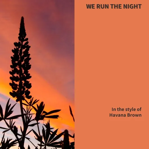 Karaoke We Run the Night by Havana Brown — sing along with lyrics on Singa