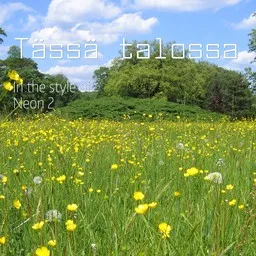 Cover art for Tässä talossa - Neon 2 karaoke version