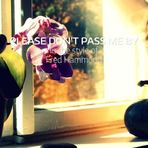 Karaoke Please Don't Pass Me by by Fred Hammond — sing along with lyrics on Singa