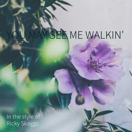 You May See Me Walkin' - Karaoke