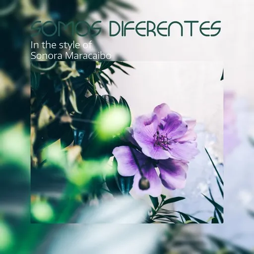 Karaoke Somos Diferentes by Sonora Maracaibo — sing along with lyrics on Singa