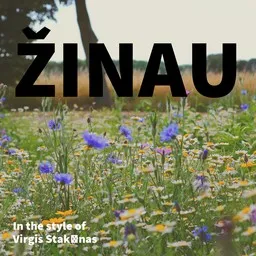 Cover art for Virgis Stakėnas