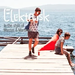 Cover art for Elektrisk - Marcus & Martinus karaoke version